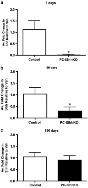 Figure 3 Re-expression of gastric Shh in control and PC-iShhKO mice. Quantitative RT-PCR was performed on stomach RNA isolated from gastric mucosa collected from control and PC-iShhKO mice