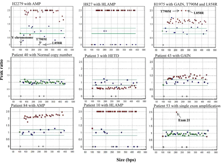 Figure 1. Examples of representative scatter plot patterns of multiplex ligation-dependent probe amplification (MLPA) analysis for the EGFR gene
