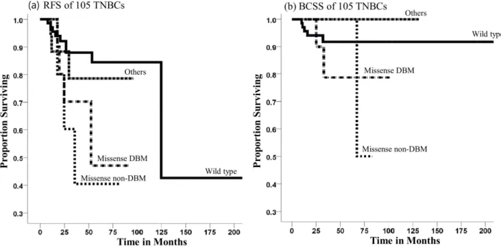Figure 2. Kaplan-Meier relapse free survival (RFS) and breast cancer specific survival (BCSS) curves of patients with triple negative breast cancer