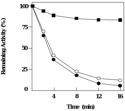 Figure II-6. Time-dependent inactivation of GDH by with  PLP analogs. GDH (2  ìM) was incubated with PLP and its  analogs 25  ºC in 100  mM  potassium phosphate, pH7.4
