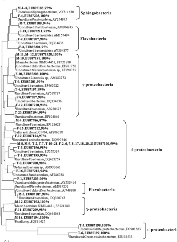 Fig.  4.  Continued.