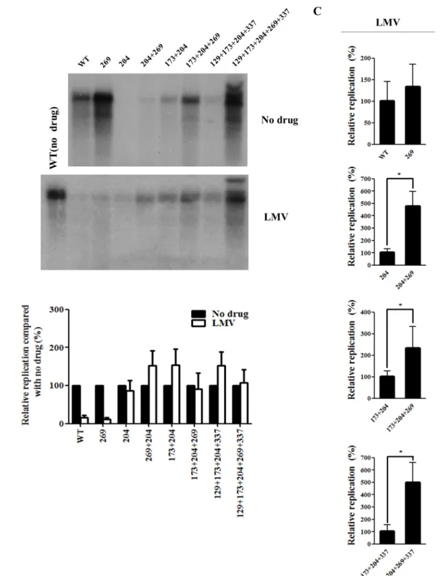 Fig 3. Effect of rtL269I and other substitutions on resistance to lamivudine (LMV). (A) HBV DNA constructs were transfected into Huh7 cells, which were treated with LMV for 3 days