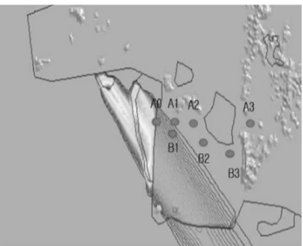 Fig.  13  3D  Computational  Fluid  Dynamic  simulation  of  Gunsan  area  with  prevailing  the  wind  direction  of  North-West 