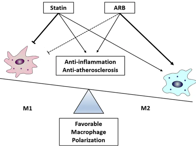 Fig 6. Effects of statin and ARB on the macrophage RAW 264.7 cell line, with cytokine mRNA and protein expressions