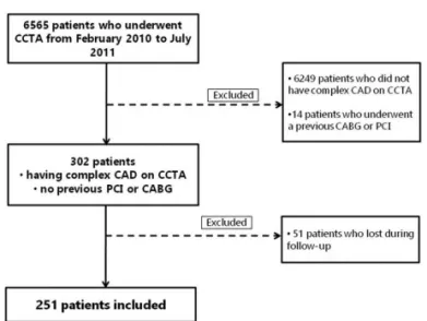 Figure 1. Flow chart of the study population. CCTA = coronary computed tomography angiography; CABG = coronary artery bypass graft surgery; PCI = percutaneous coronary intervention.