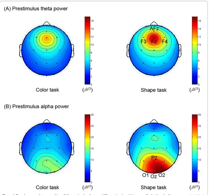 Figure 1 Grand-averaged topographies of (A) prestimulus theta and (B) prestimulus alpha power for both tasks