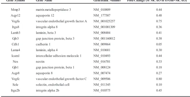 Fig. 1 – The association between ASK1 and vascular permeability-related genes. In microarray analysis of ischemic lesions at reperfusion 8 h after MCAO, vascular permeability-related genes were down-regulated in accordance with reduction of ASK1 by ASK1-si
