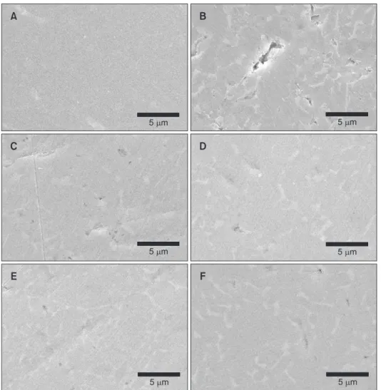 Figure 3. Surface morphology 