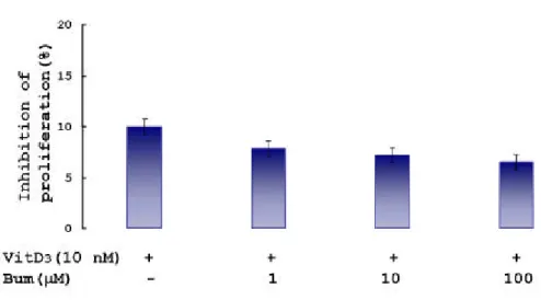 Fig . 8. Effect of bu m etanid e on cell p roliferation in coculture.
