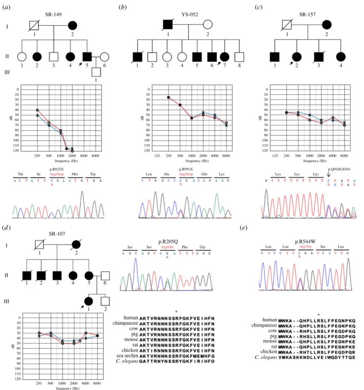Figure 1. Pedigree and genetic information for patients with novel mutations in the MYO6 and MYO1A genes