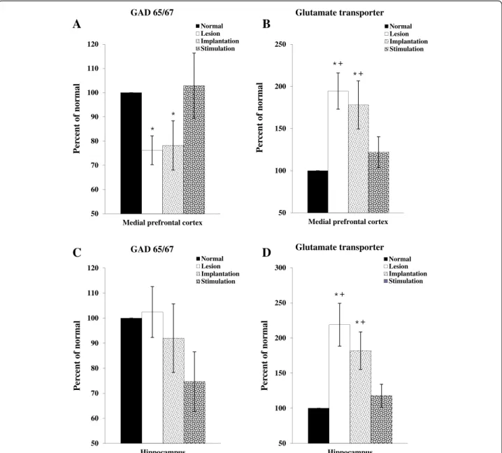Fig. 6 The expression of GAD65&amp;67 and GT in the mPFC and hippocampus. The expression of GAD65&amp;67 (a) and GT (b) in the mPFC
