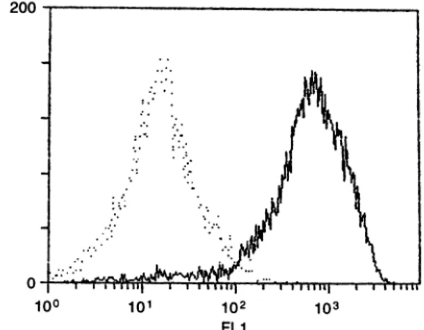 Figure 1. Flow-cytometric analysis showing the expression of CD31 on HDMEC.