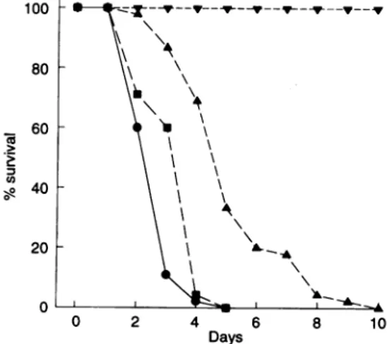 Figure 4. Effect of anti-iC3b receptor antibody on mortality of mice
