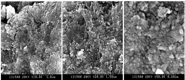 Fig. 9. SEM images of the sagittally sectioned enamel surface adjacent to the  cement after acid demineralization