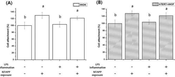 Figure 6.  Cell attachment of (A) IHOKs and (B) hTERT-hNOFs on control and NTAPP-treated groups