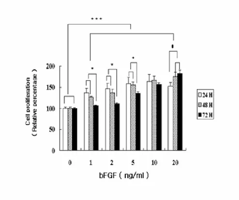 Fig.  1  .  Effect  of  bFGF  exposure  on  the  proliferation  of  MC3T3-E1  cells.  The 