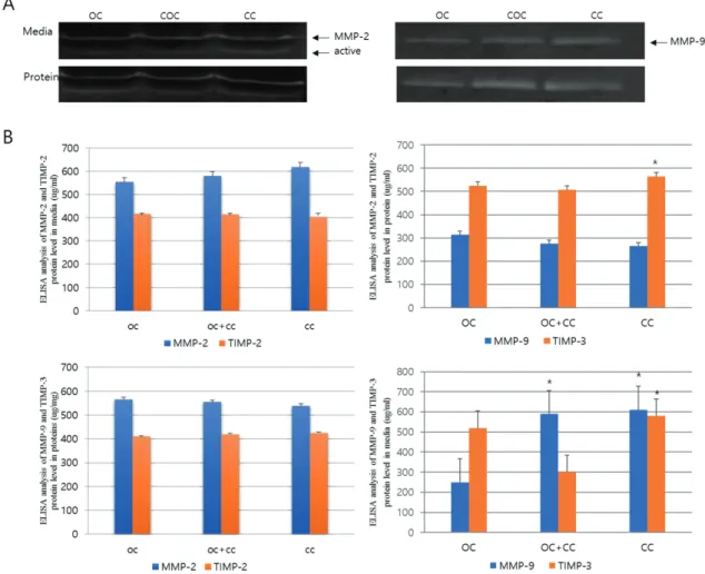 Figure 2. MMPs expression by oocytes, cumulus oocyte complex and cumulus cell after maturation