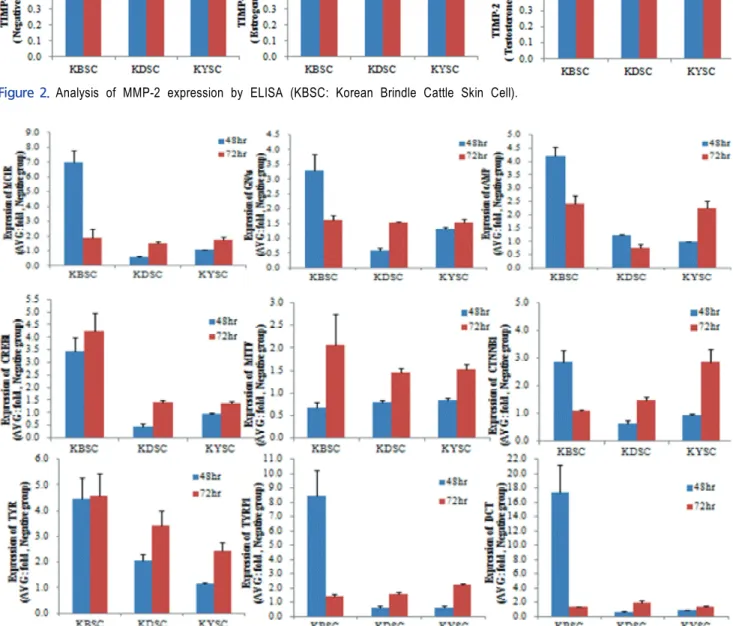 Figure  3.  Expression of Melanogenesis-related Genes by Real-time PCR (Negative).