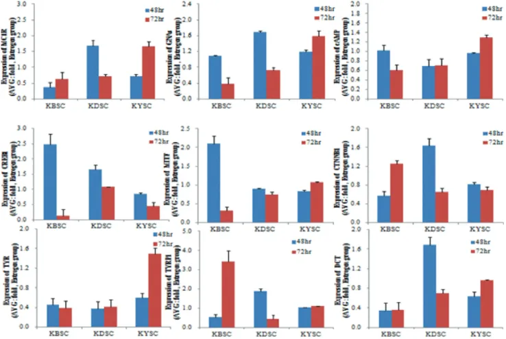 Figure  4. Expression of Melanogenesis-related Genes by Real-time PCR (Estrogen).