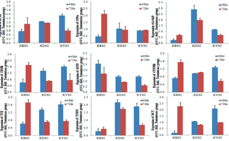 Figure  5. Expression of Melanogenesis-related Genes by Real-time PCR (Testosterone).