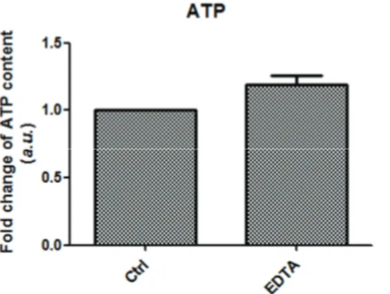 Figure 4. Intracellular ATP levels of canine PA embryo treated or not EDTA. The intensity of the signal of control was set at 1 and the  relative abundance of EDTA treated Group was expressed relative to that value
