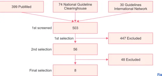 Fig. 2.  Flow of guideline searching.