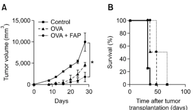 Figure  5.  FAP triggers DC-derived anti-tumor activity in vivo. (A) Mice  were intraperitoneally injected 3 times (1 week apart) with immature DCs  and OVA (1 μg/ml)-pulsed DCs (1 × 10 6 ) treated with or without FAP,  followed by subcutaneous injection o
