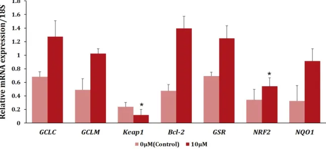 Figure 3. Messenger RNA expression levels of GCLC,  GCLM,  KEAP1,  BCL-2,  GSR,  Nrf2,  and  NQO1  relative to 18S in cumulus cells treated with FA during  in vitro maturation  (Mean±SEM)