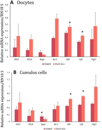 Figure 3. Effect of ALA treatment during IVM on the cleavage pattern  in embryos produced by PA and blastocyst formation at  Day 7