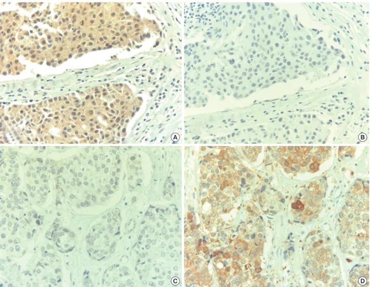 Figure 2.  Expression of estrogen-responsive ring finger protein (Efp) and 14-3-3  σ in breast cancer