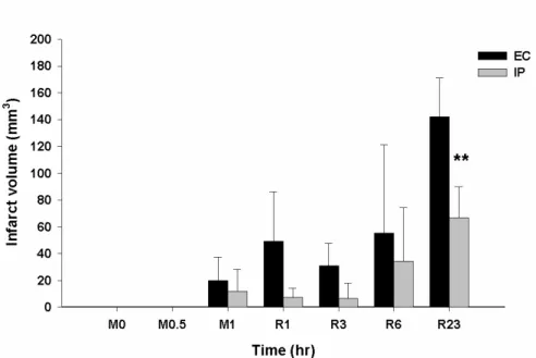 Table 1. Infarct volume after  ischemic injury. EC (Experimental  control group), IP(Ischemic  preconditioning group)