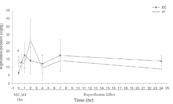 Figure 5. Level of agmatine in rat brain tissue was measured at 0, 0.5, 1, 2, 4, 7, and 24 h after  ischemic  injury