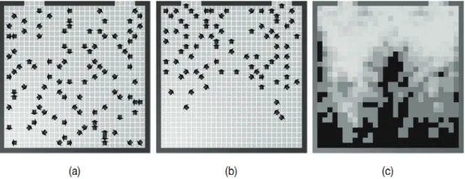 Fig. 4. A simulation example of the improved model; (a) initial stage; (b) middle stage; (c) visualization of cell occupancy degree after the simulation terminated