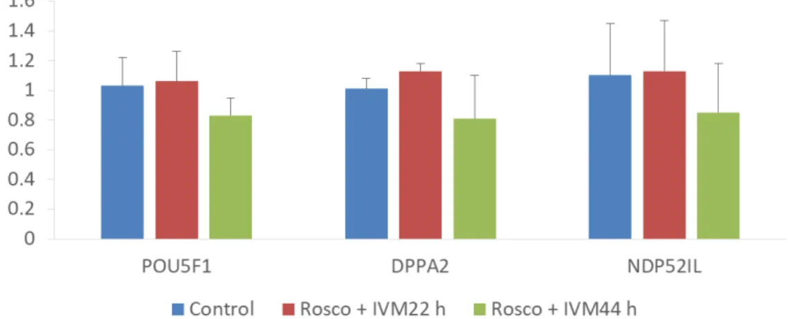 Fig. 2. Mean ± SEM expression levels of POU5F1, DPPA2, and NDP52Il mRNA levels in somatic cell nuclear transfer blastocysts that were treated with Rosco (75 µM)