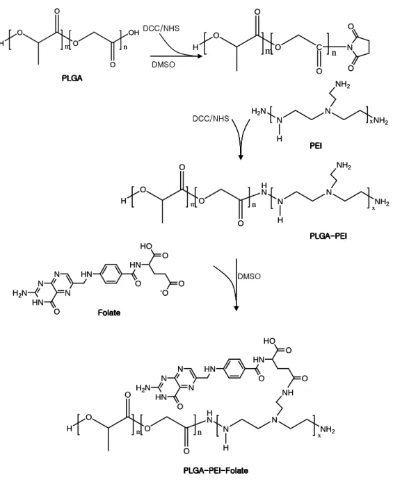 Figure 4. Synthetic scheme of PLGA-PEI conjugate     