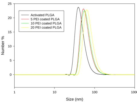 Figure 6.    Particle size comparison according to PEI quantity 