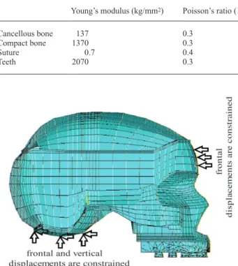 Figure 3  Three-dimensional standard co-ordinates and direction of the 