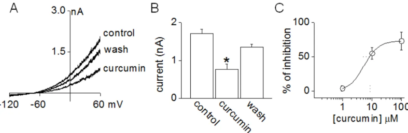Fig. 1. Inhibition of TREK-1 channel by curcumin. Whole-cell currents were recorded in 5mM KCl, and the current levels at +60 mV were analyzed