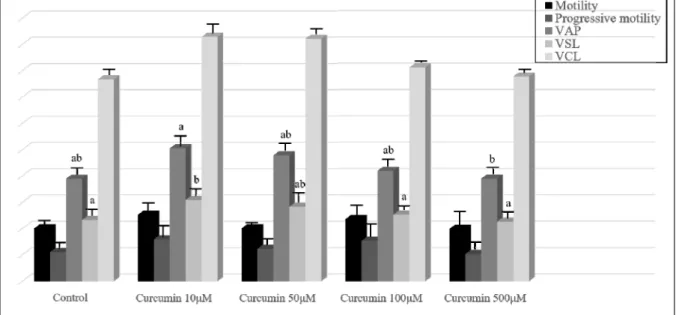 Fig. 1. Effects of curcumin supplementation in freezing buffer on miniature pig sperm motility and kinetic variables (means ± S.E.).