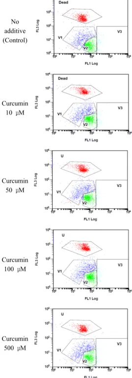 Fig. 3. Effect of ROS on intracellular H 2 O 2  radical content of miniature pig sperm