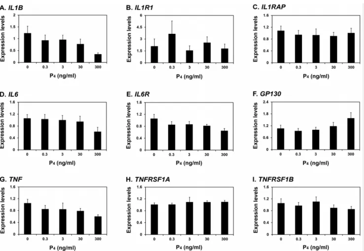 Fig. 5. Effect of progesterone on expression of pro-inflammatory cytokines and their receptors IL1B (A), IL1R1  (B),  IL1RAP  (C),  IL6 (D),  IL6R  (E),  GP130  (F),  TNF  (G),  TNFRSF1A  (H)  and  TNFRSF1B  (I) mRNAs in endometrial explant cultures