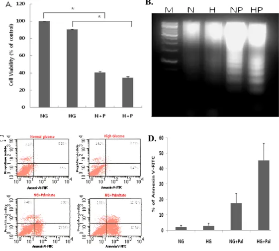 Fig 1. Combined treatment with high glucose and palmitate (glucolipotoxicity)  induces apoptosis in cardiomyocytes