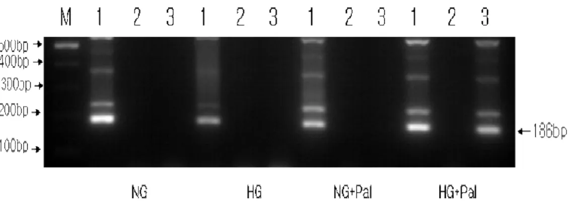 Fig 4. p53 interacts with the NQO1  gene promoter.  p53 binding to the ARE-