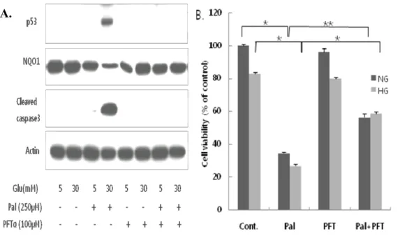 Fig 5. Inhibition of p53 with PFT-α protects H9c2 cells from glucolipotoxicity- glucolipotoxicity-induced apoptosis