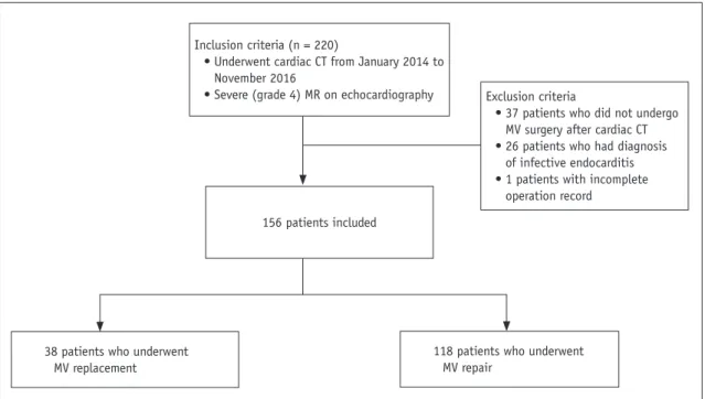 Fig. 1. Flowchart of study population.  CT = computed tomography, MR = mitral regurgitation, MV = mitral valve