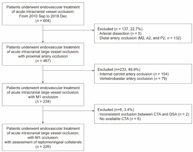 Figure 2. Patients selection flow chart. DSA, digital subtraction angiography. 