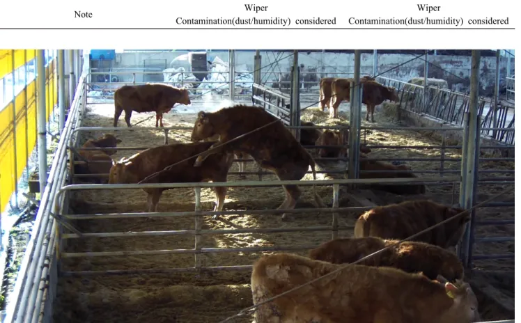Figure 2. A  photo captured in the video recorded by visual surveillance system. Cameras record videos for cow heat detection.