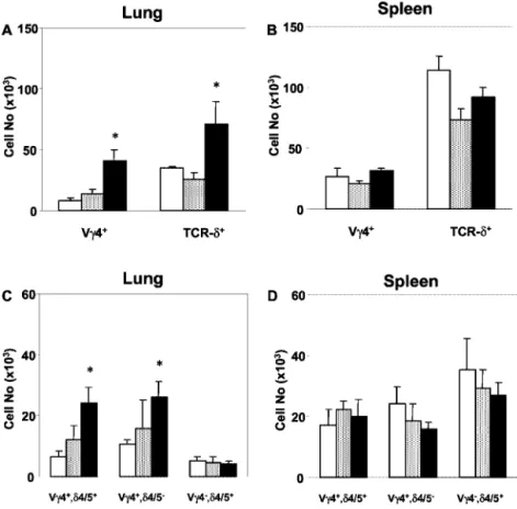 FIGURE 1. Increase in V ␥4 ⫹ ␥␦ T cells in the lung of OVA-sensitized and challenged C57BL/6 mice