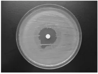 Table  1.  The  Minimum  Inhibitory  Concentration(MIC)  and  the  Minimum  Bactericidal  Concentration(MBC)  of  Hamamelis  virginiana  against  Various  Microorganisms