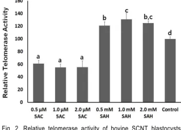 Fig.  2.  Relative  telomerase  activity  of  bovine  SCNT  blastocysts  using  donor  fibroblasts  treated  with  5AC  and  SAH  at  di-  fferent  concentrations